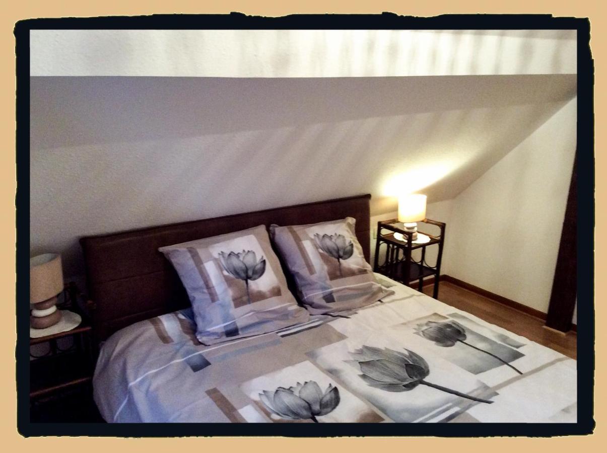 Residence Des Lentilles Schiltigheim Buitenkant foto